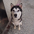 DSCN1489.JPG