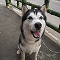 DSCN1490.JPG