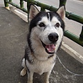 DSCN1491.JPG