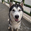 DSCN1492.JPG