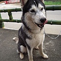 DSCN1494.JPG