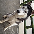DSCN1495.JPG