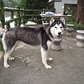 DSCN1496.JPG