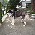 DSCN1497.JPG