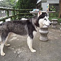 DSCN1498.JPG