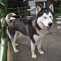 DSCN1499.JPG
