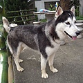 DSCN1501.JPG