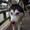 DSCN1502.JPG