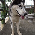 DSCN1503.JPG