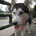 DSCN1505.JPG