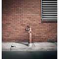 39.Territory_Fire hydrant.png