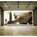 47.Expedition_Kitten.png