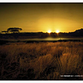 9.Ranger XLT_Savanna.png