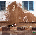 15.X Trail Club Powerful Mud Splash, Falling Flower Pot.png