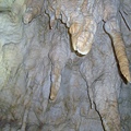 Ruakuri cave 鐘乳石介紹