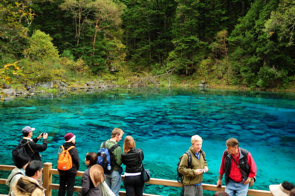 DSC_0879.jpg DSC_0879.jpg