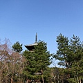 20110401_021.JPG