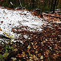 20101028_045.jpg