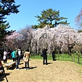 20110401_091.JPG