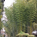 20110402_598.JPG