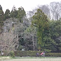 20110402_608.JPG