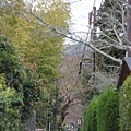 20110402_628.JPG