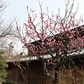 20110402_497.JPG