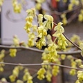 20110402_515.JPG