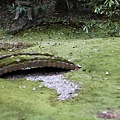 20110402_583.JPG