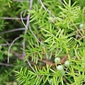 20110729_045.JPG