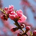 20110401_239.JPG