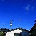 20101029_0190.JPG