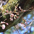 20110401_048.JPG