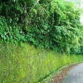 2010917_223.JPG