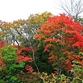 20101025_462.jpg