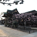 20110401_126.JPG