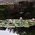 20110501_068.JPG