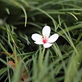 20110501_123.JPG