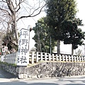 20110402_154.JPG