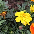 20110501_028.JPG