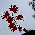 20101027_264.jpg