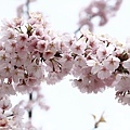 20110402_337.JPG