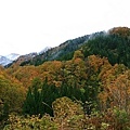 20101027_073.jpg