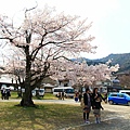 20110402_286.JPG