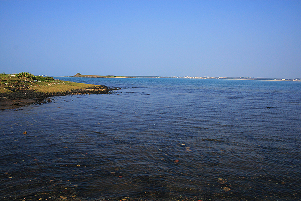 菊島 (127).jpg