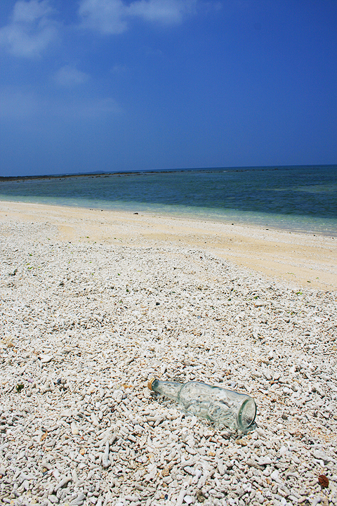 菊島 (142).jpg