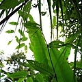 2010917_083.JPG