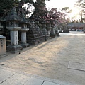 20110401_127.JPG