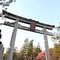 20110401_087.JPG