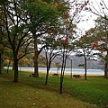 20101026_027.jpg